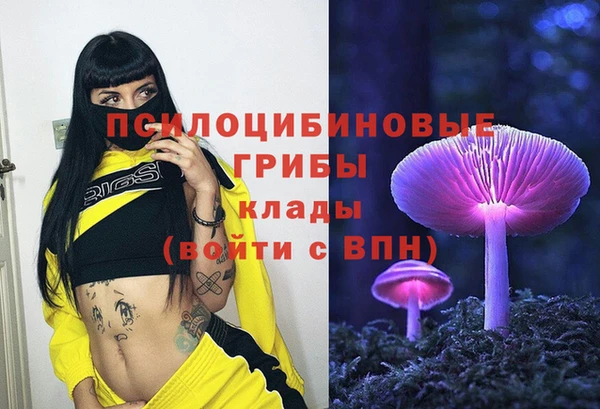 экстази Сосновка