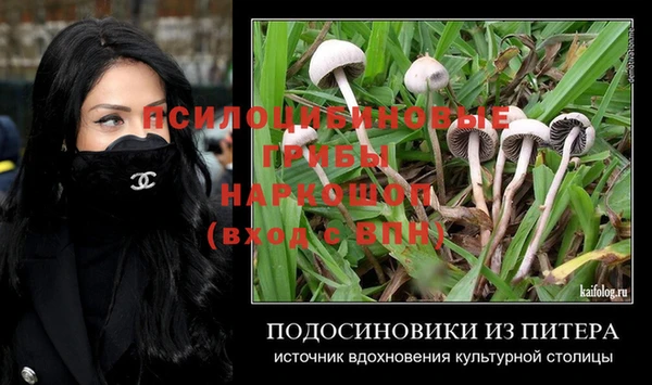 не бодяженный Белокуриха