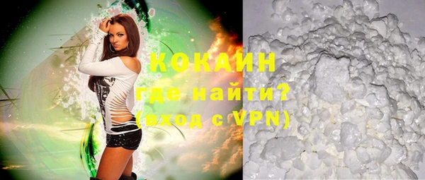 прущие грибы Сосновоборск