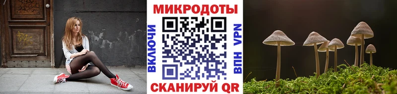 Галлюциногенные грибы прущие грибы Волосово
