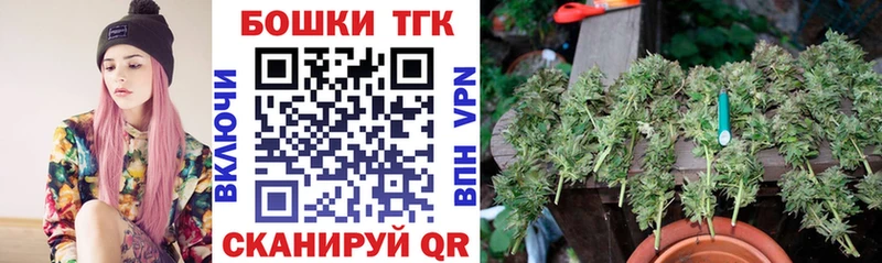 Шишки марихуана план  это Telegram  Волосово 